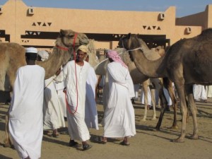 Kamelmarkt in Al Ain, Abu Dhabi